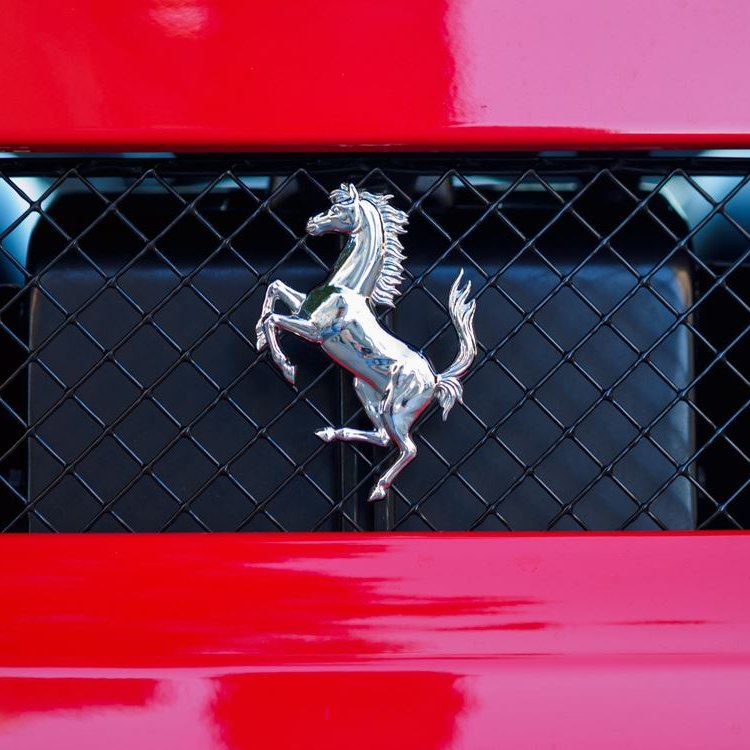 scuderia-leone_ferrari_galerie-9